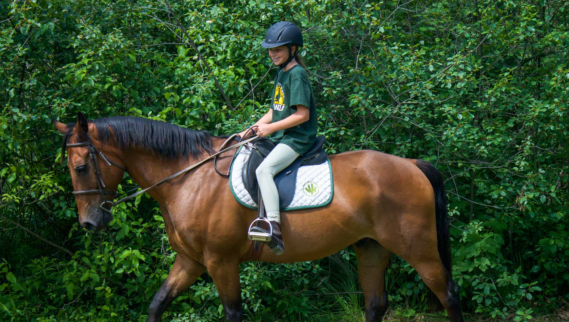 Camper riding a horse