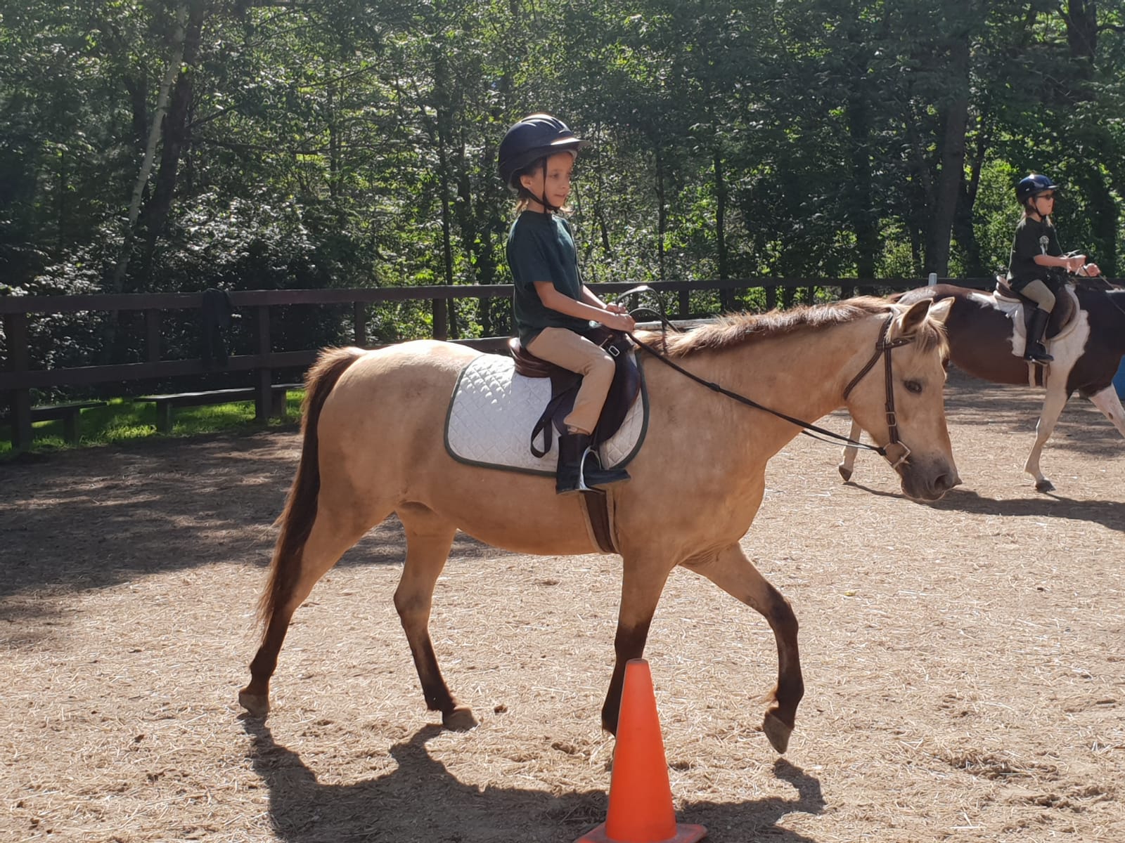 Equestrian Camp WaKlo