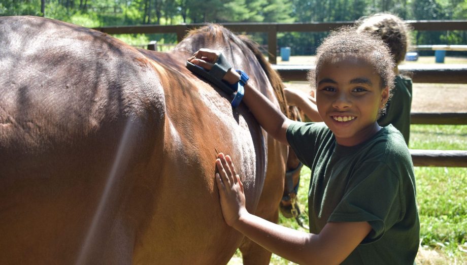 Camper grooming a horse